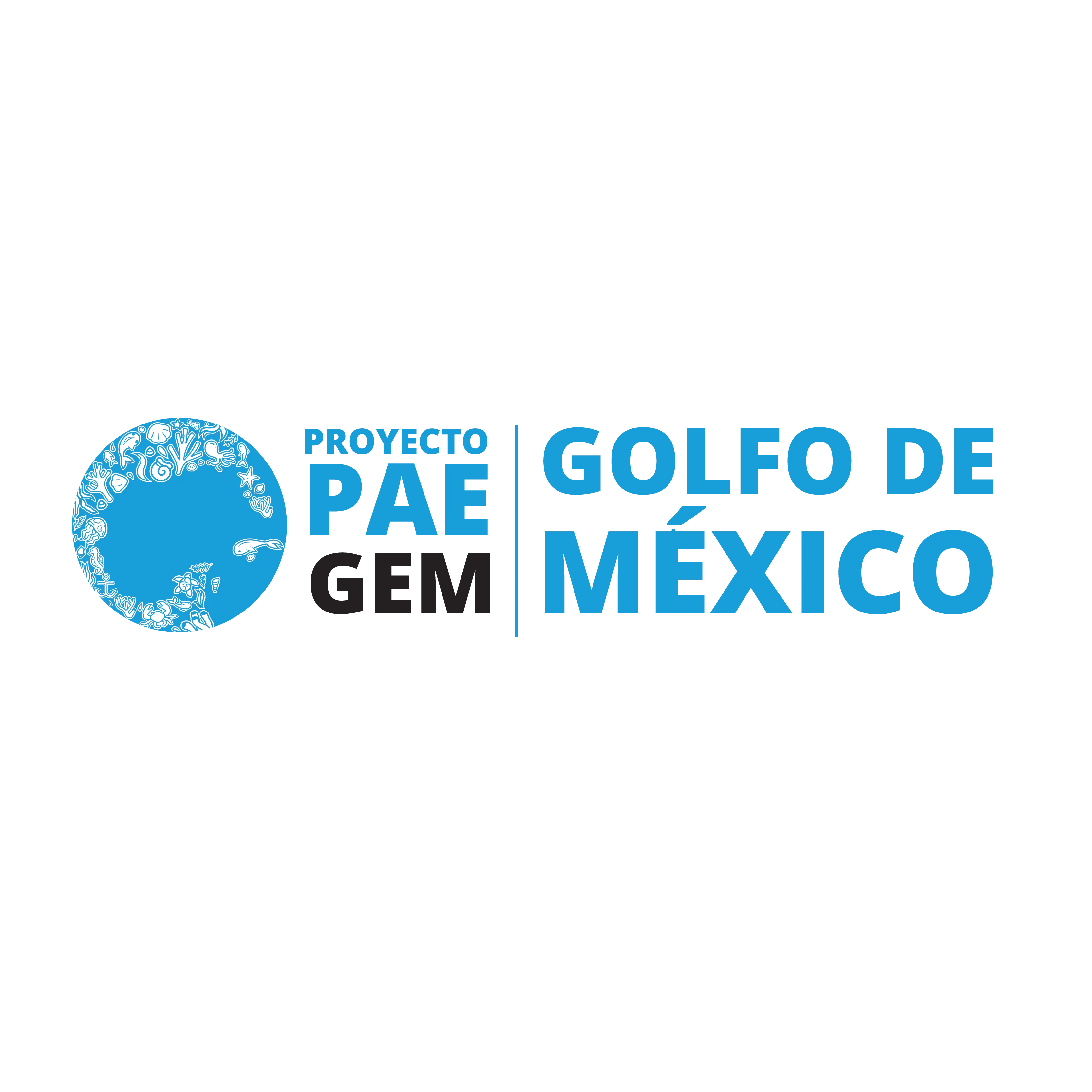 Logo PAE GEM